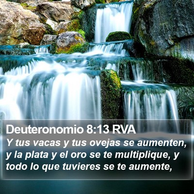 Deuteronomio 8:13 RVA Bible Verse Image