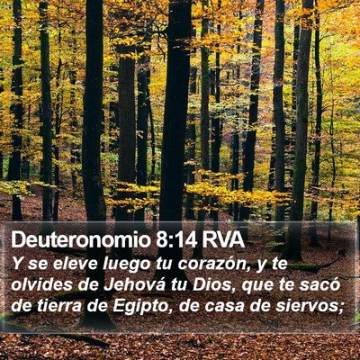 Deuteronomio 8:14 RVA Bible Verse Image