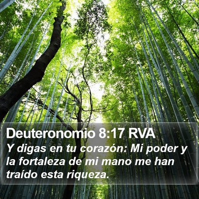Deuteronomio 8:17 RVA Bible Verse Image