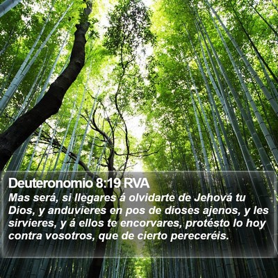 Deuteronomio 8:19 RVA Bible Verse Image