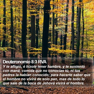 Deuteronomio 8:3 RVA Bible Verse Image
