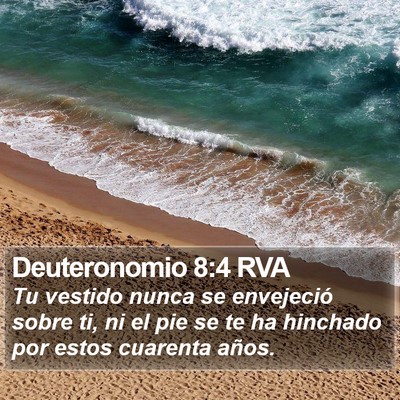 Deuteronomio 8:4 RVA Bible Verse Image