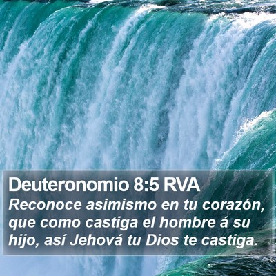 Deuteronomio 8:5 RVA Bible Verse Image