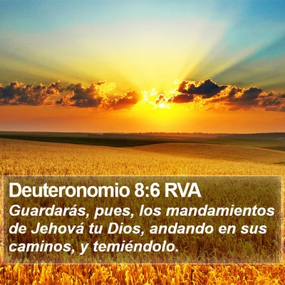 Deuteronomio 8:6 RVA Bible Verse Image