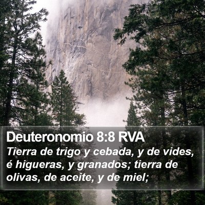 Deuteronomio 8:8 RVA Bible Verse Image