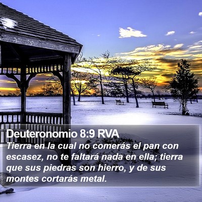 Deuteronomio 8:9 RVA Bible Verse Image