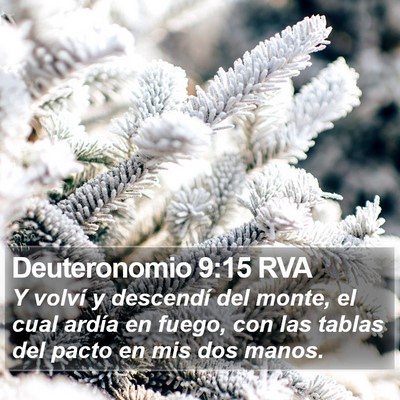 Deuteronomio 9:15 RVA Bible Verse Image