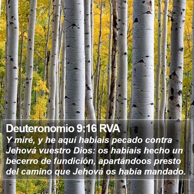 Deuteronomio 9:16 RVA Bible Verse Image