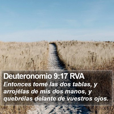 Deuteronomio 9:17 RVA Bible Verse Image