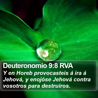 Deuteronomio 9:8 RVA Bible Verse Image