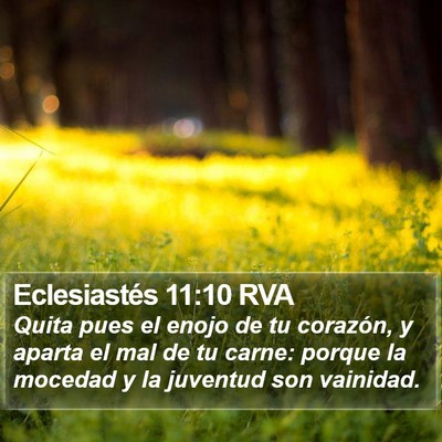 Eclesiastés 11:10 RVA Bible Verse Image