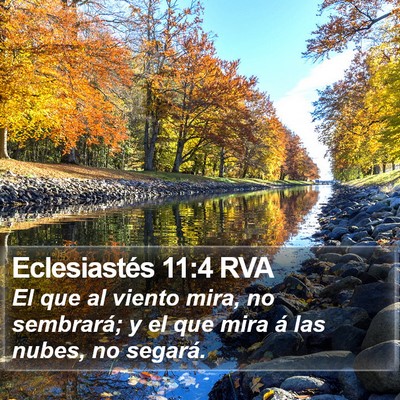 Eclesiastés 11:4 RVA Bible Verse Image
