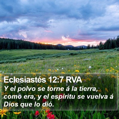 Eclesiastés 12:7 RVA Bible Verse Image