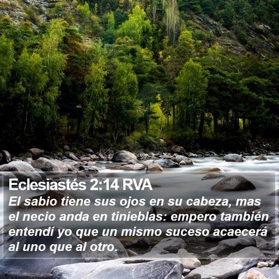 Eclesiastés 2:14 RVA Bible Verse Image