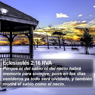 Eclesiastés 2:16 RVA Bible Verse Image