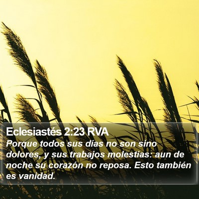 Eclesiastés 2:23 RVA Bible Verse Image