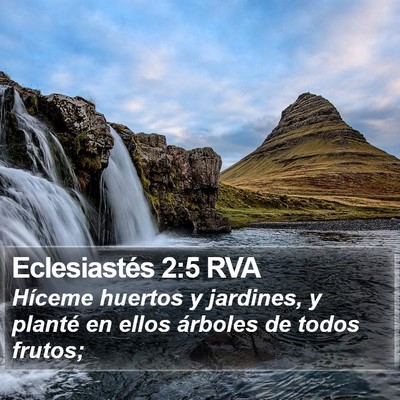 Eclesiastés 2:5 RVA Bible Verse Image