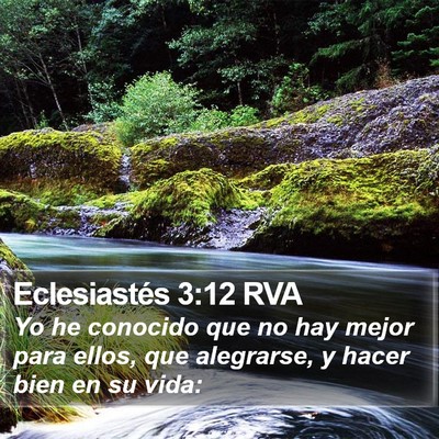 Eclesiastés 3:12 RVA Bible Verse Image
