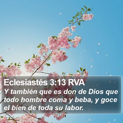 Eclesiastés 3:13 RVA Bible Verse Image