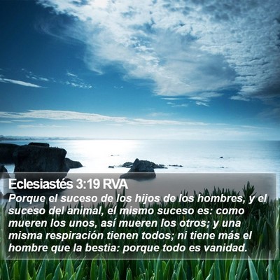 Eclesiastés 3:19 RVA Bible Verse Image