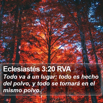 Eclesiastés 3:20 RVA Bible Verse Image