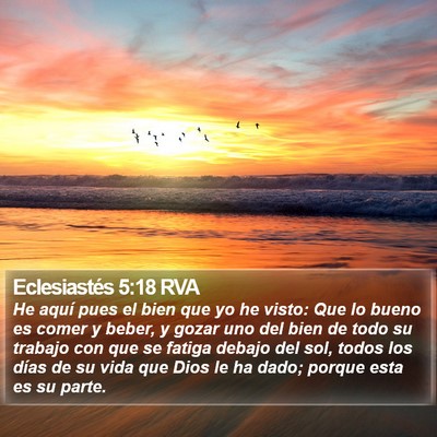 Eclesiastés 5:18 RVA Bible Verse Image