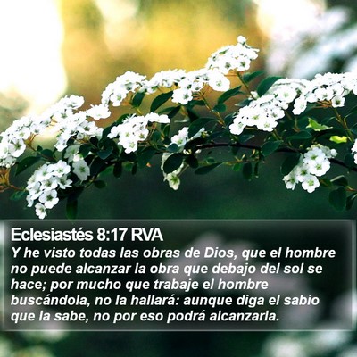 Eclesiastés 8:17 RVA Bible Verse Image