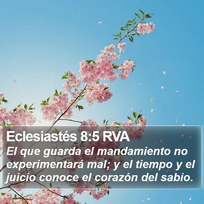 Eclesiastés 8:5 RVA Bible Verse Image