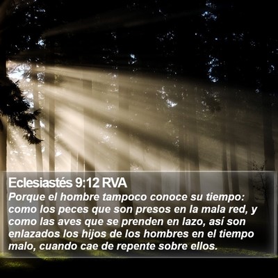 Eclesiastés 9:12 RVA Bible Verse Image