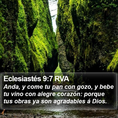 Eclesiastés 9:7 RVA Bible Verse Image