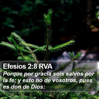 Efesios 2:8 RVA Bible Verse Image