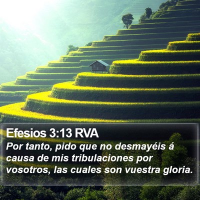 Efesios 3:13 RVA Bible Verse Image