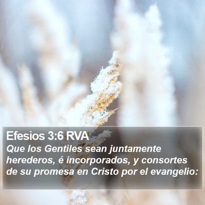 Efesios 3:6 RVA Bible Verse Image