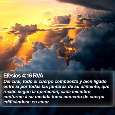 Efesios 4:16 RVA Bible Verse Image