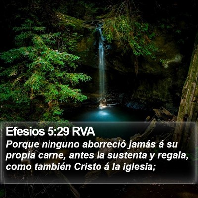 Efesios 5:29 RVA Bible Verse Image