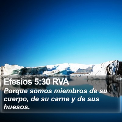 Efesios 5:30 RVA Bible Verse Image