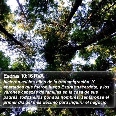 Esdras 10:16 RVA Bible Verse Image