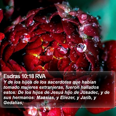 Esdras 10:18 RVA Bible Verse Image