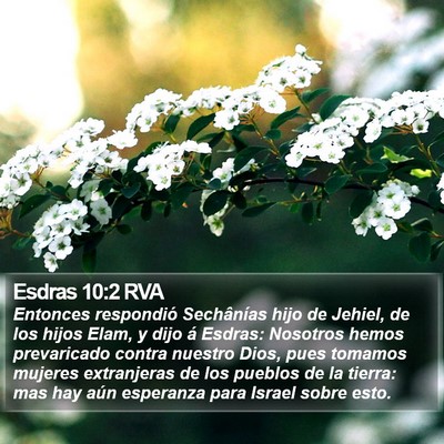 Esdras 10:2 RVA Bible Verse Image