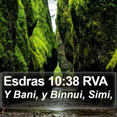 Esdras 10:38 RVA Bible Verse Image