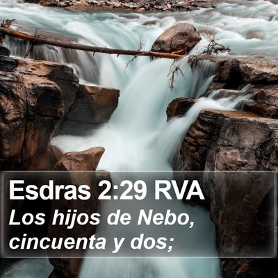 Esdras 2:29 RVA Bible Verse Image