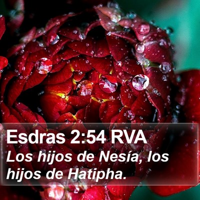 Esdras 2:54 RVA Bible Verse Image