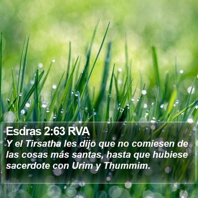 Esdras 2:63 RVA Bible Verse Image