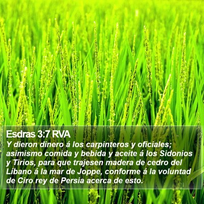 Esdras 3:7 RVA Bible Verse Image