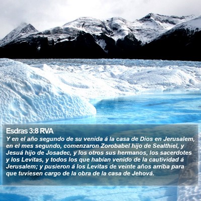 Esdras 3:8 RVA Bible Verse Image