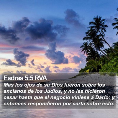 Esdras 5:5 RVA Bible Verse Image