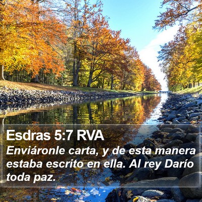 Esdras 5:7 RVA Bible Verse Image