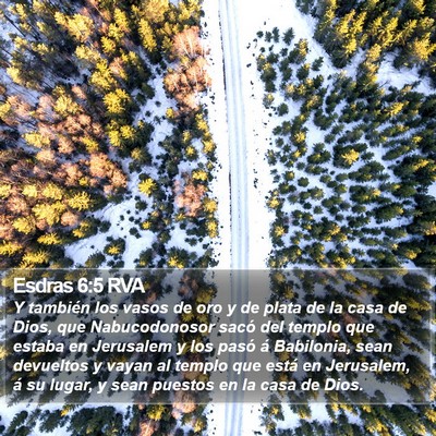 Esdras 6:5 RVA Bible Verse Image