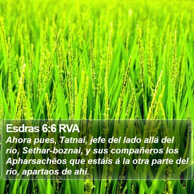 Esdras 6:6 RVA Bible Verse Image
