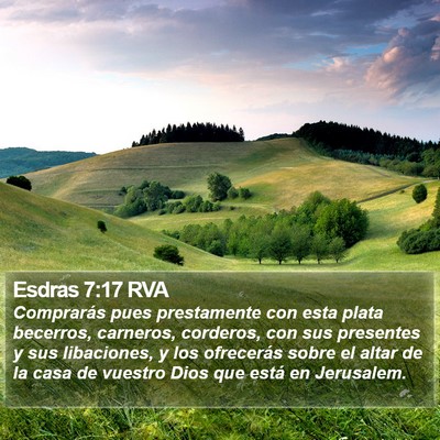 Esdras 7:17 RVA Bible Verse Image